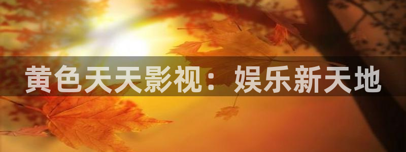 香港午夜神马伦理