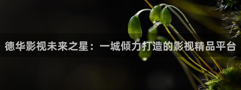 神马影院秋霞电影院