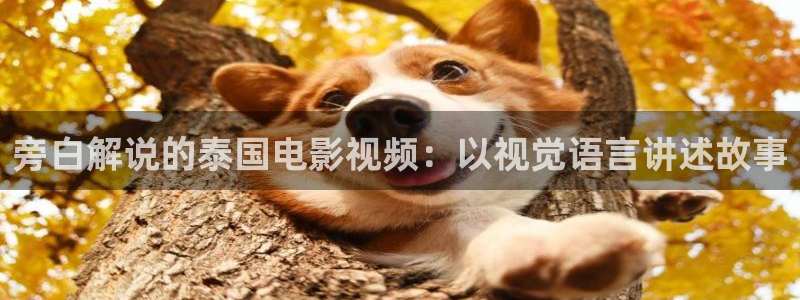 神马未来不卡