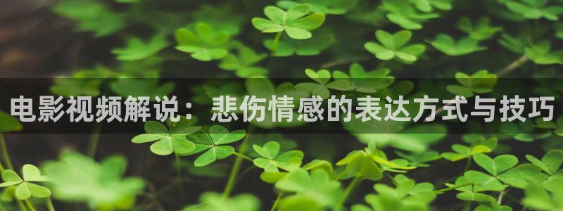 原来神马影院免费观看电视剧高清成