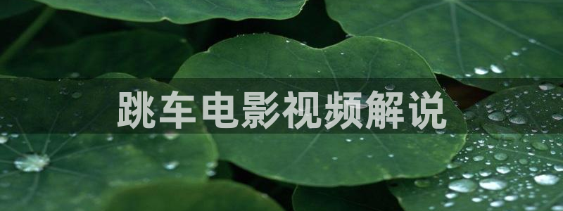 神马电影电影在线观看