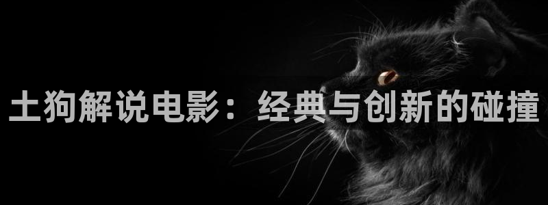 神马电影院88888