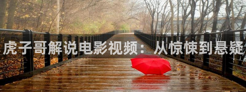 神马午夜伦理在线